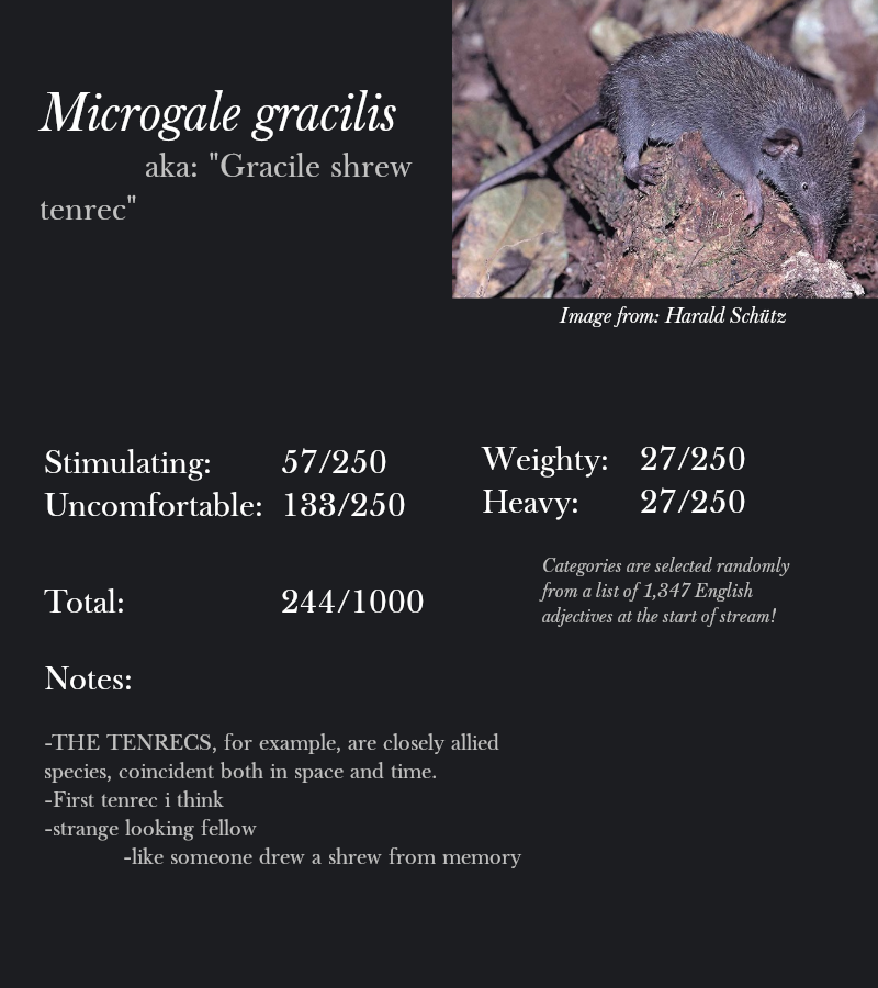 Microgale gracilis